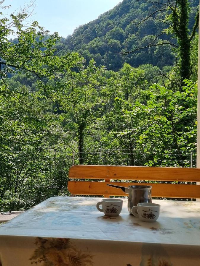 Glamping House ˇvitaˇ Tolmin Extérieur photo